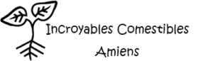 incroyables-comestibles-amiens